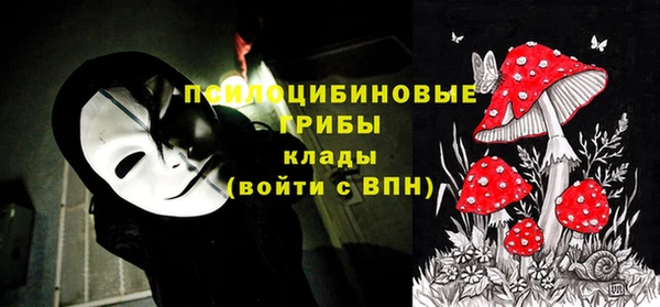 прущие грибы Навашино