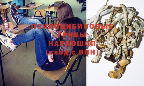 прущие грибы Навашино