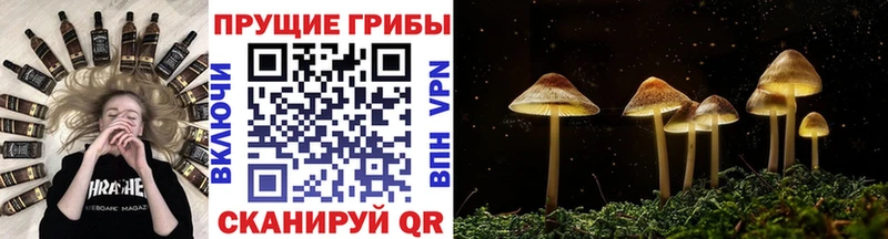 Галлюциногенные грибы мухоморы  Шагонар 