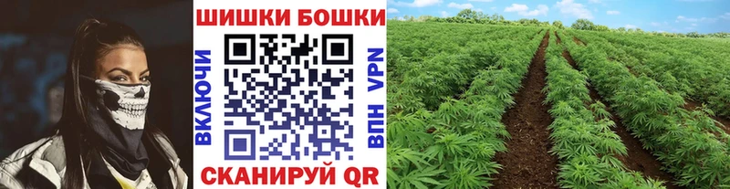 МАРИХУАНА OG Kush  Шагонар 